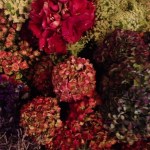 Taken by kegrand using Normal filter. Link - http://instagr.am/p/S5PzShN59-/