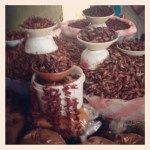 Taken by sarahsbag using Sierra filter. Link - http://instagr.am/p/RluybhAgs3/