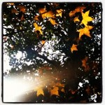 Taken by beatricewsy using Lo-fi filter. Link - http://instagr.am/p/RmbORFvTQ8/